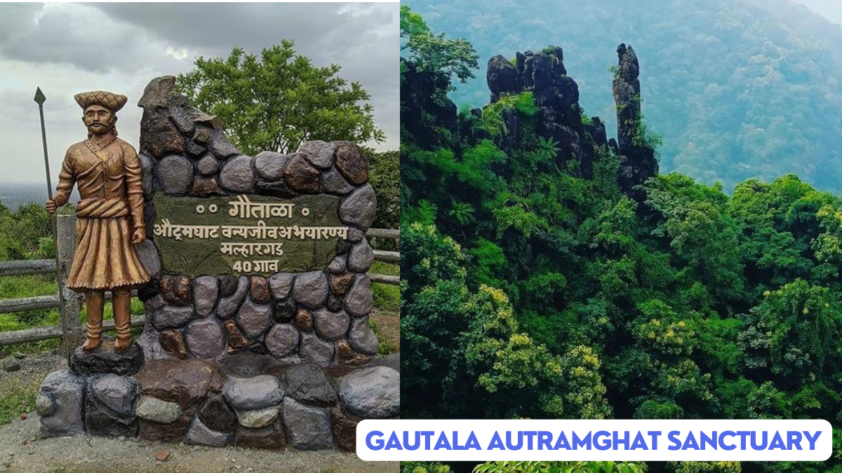 Gautala Autramghat Sanctuary