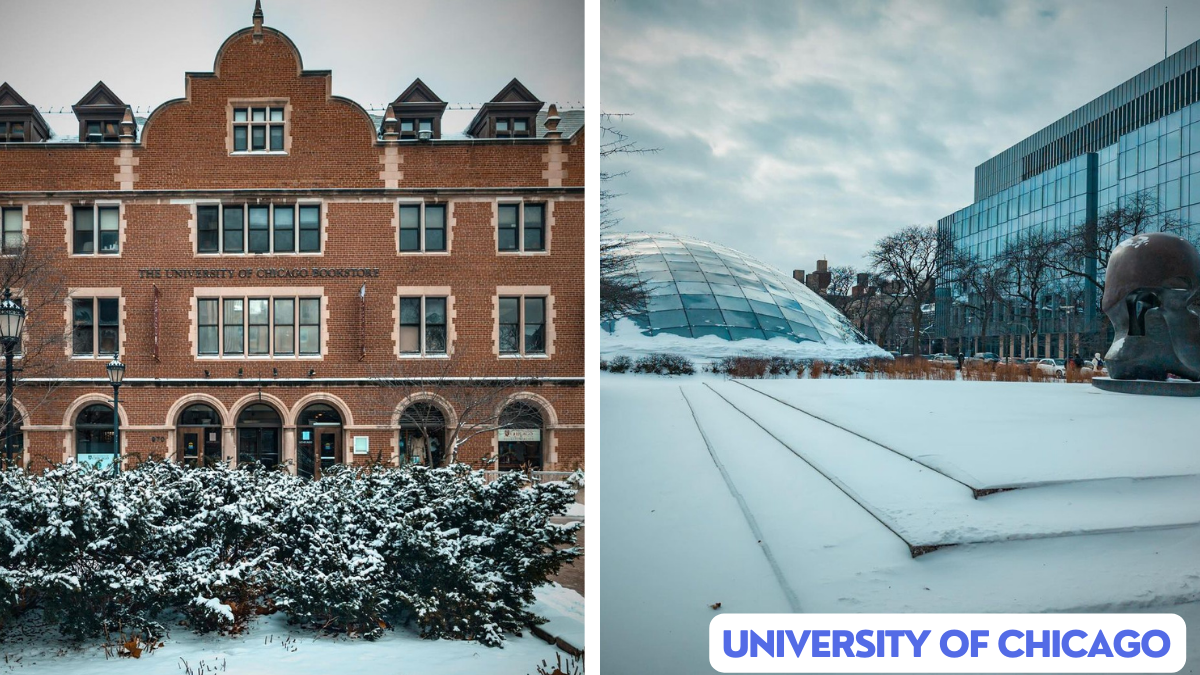 university of chicago