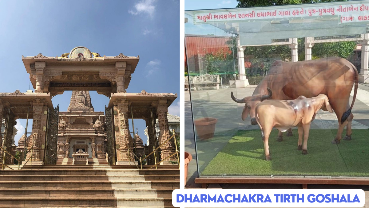 Dharmachakra Tirth Goshala