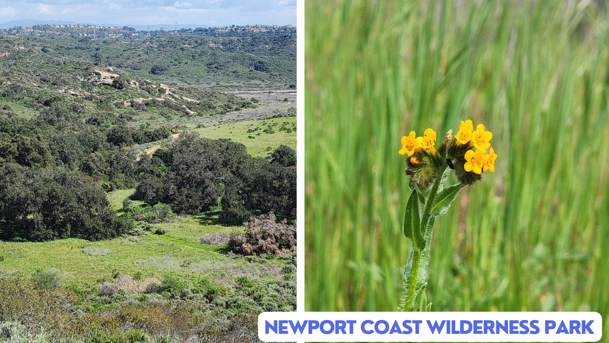 Newport Coast Wilderness Park