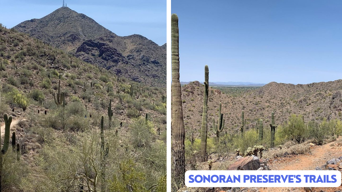 Sonoran Preserve's Trails