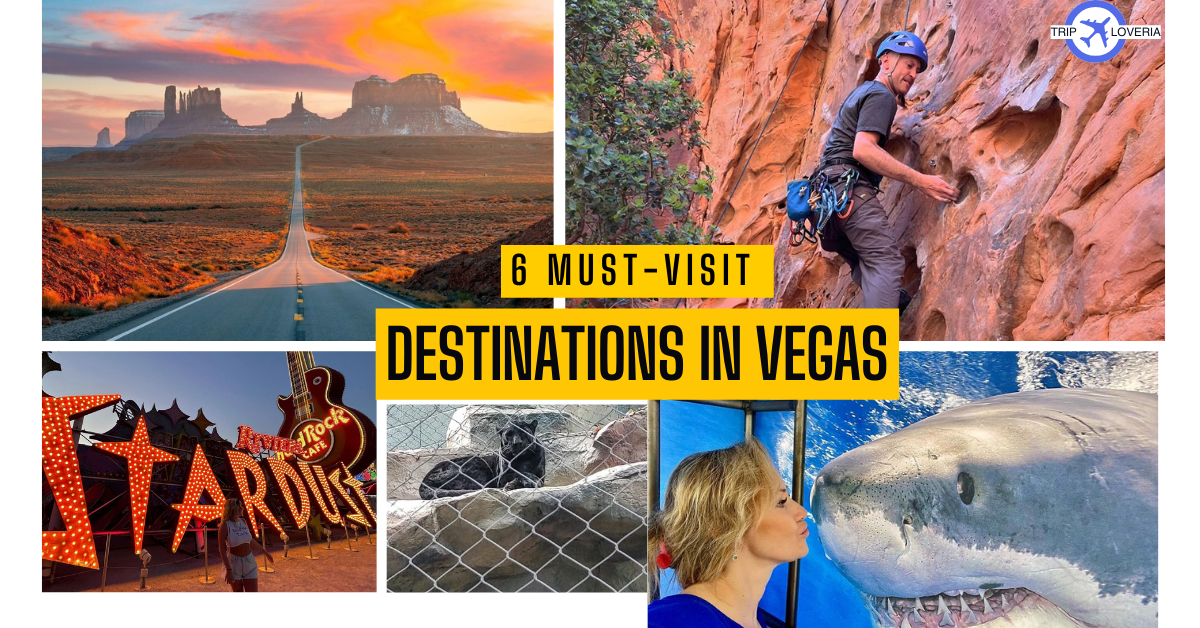 Discover the Ultimate Family Adventure: 6 Must-Visit Destinations in Vegas